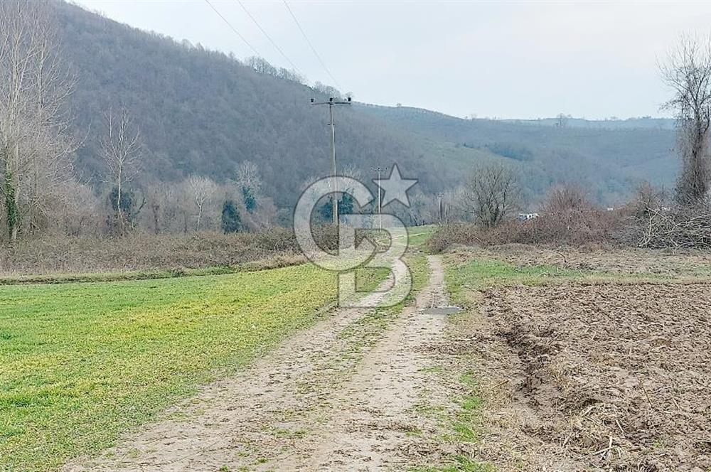 Yol-Su-Elektrik 3'ü 1 Arada 3103 m2 Satılık Tarla