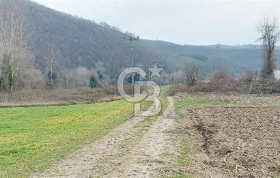 Yol-Su-Elektrik 3'ü 1 Arada 3103 m2 Satılık Tarla