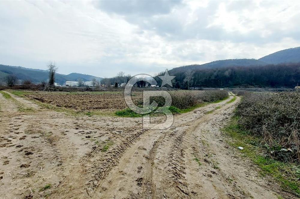 Yol-Su-Elektrik 3'ü 1 Arada 3103 m2 Satılık Tarla