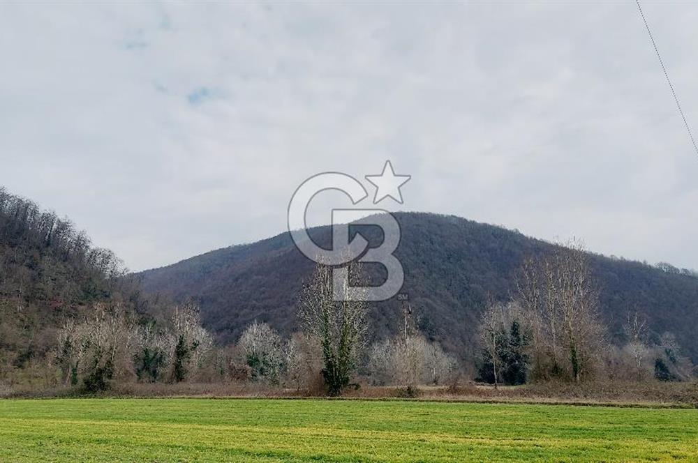 Yol-Su-Elektrik 3'ü 1 Arada 3103 m2 Satılık Tarla