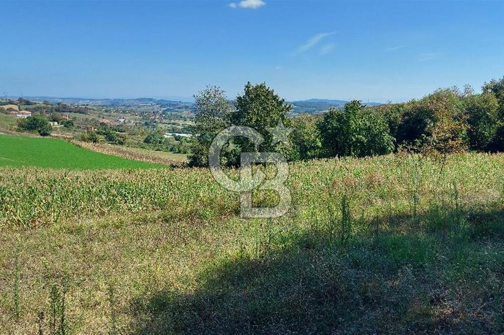 Kaynarca/Şeyhtimari Köyü/ 920 M2/orman kenarı/Satılık Arazi