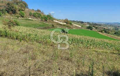 Kaynarca/Şeyhtimari Köyü/ 920 M2/orman kenarı/Satılık Arazi