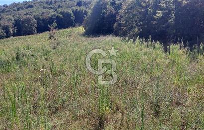 Kaynarca/Şeyhtimari Köyü/ 920 M2/orman kenarı/Satılık Arazi