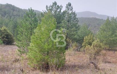 Taraklı Hacıaliler Köyünde Satılık 3346 M2 Tarla