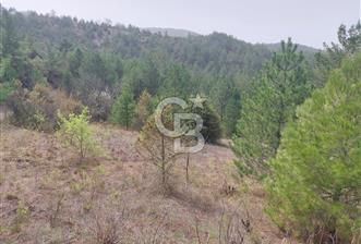 Taraklı Hacıaliler Köyünde Satılık 3346 M2 Tarla