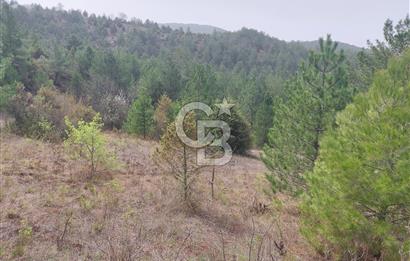 Taraklı Hacıaliler Köyünde Satılık 3346 M2 Tarla