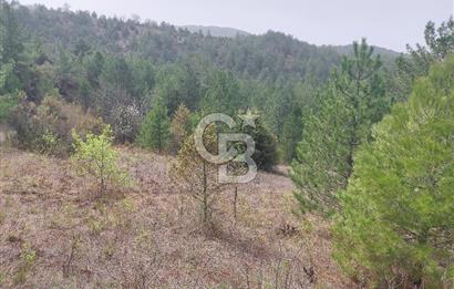 Taraklı Hacıaliler Köyünde Satılık 3346 M2 Tarla