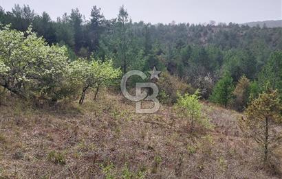 Taraklı Hacıaliler Köyünde Satılık 3346 M2 Tarla