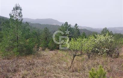 Taraklı Hacıaliler Köyünde Satılık 3346 M2 Tarla