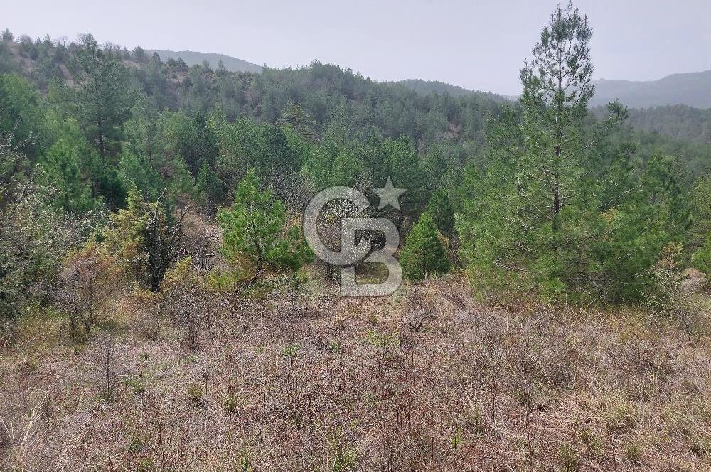 Taraklı Hacıaliler Köyünde Satılık 3346 M2 Tarla