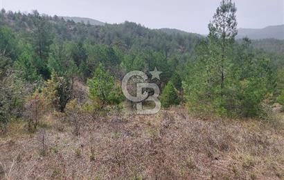 Taraklı Hacıaliler Köyünde Satılık 3346 M2 Tarla