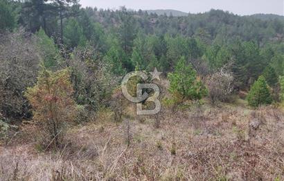Taraklı Hacıaliler Köyünde Satılık 3346 M2 Tarla