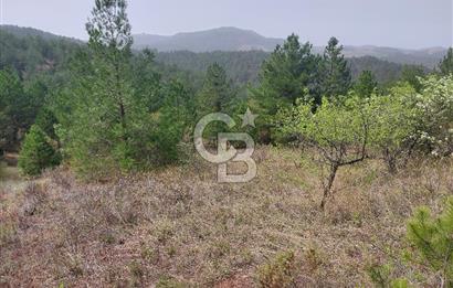 Taraklı Hacıaliler Köyünde Satılık 3346 M2 Tarla