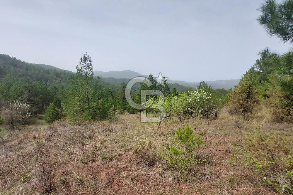 Taraklı Hacıaliler Köyünde Satılık 3346 M2 Tarla