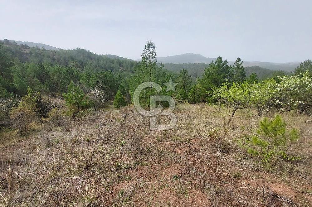 Taraklı Hacıaliler Köyünde Satılık 3346 M2 Tarla