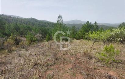Taraklı Hacıaliler Köyünde Satılık 3346 M2 Tarla