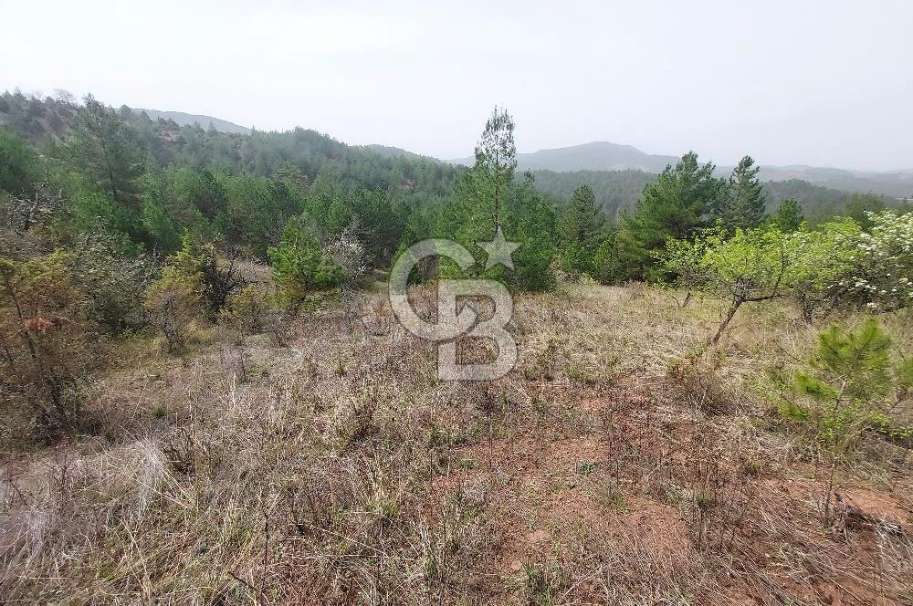 Taraklı Hacıaliler Köyünde Satılık 3346 M2 Tarla