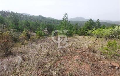 Taraklı Hacıaliler Köyünde Satılık 3346 M2 Tarla