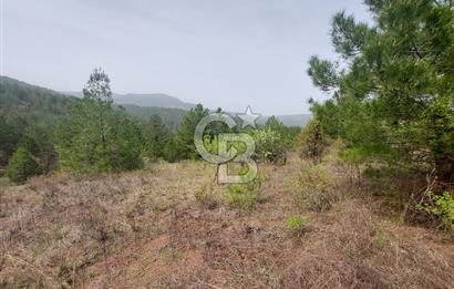 Taraklı Hacıaliler Köyünde Satılık 3346 M2 Tarla