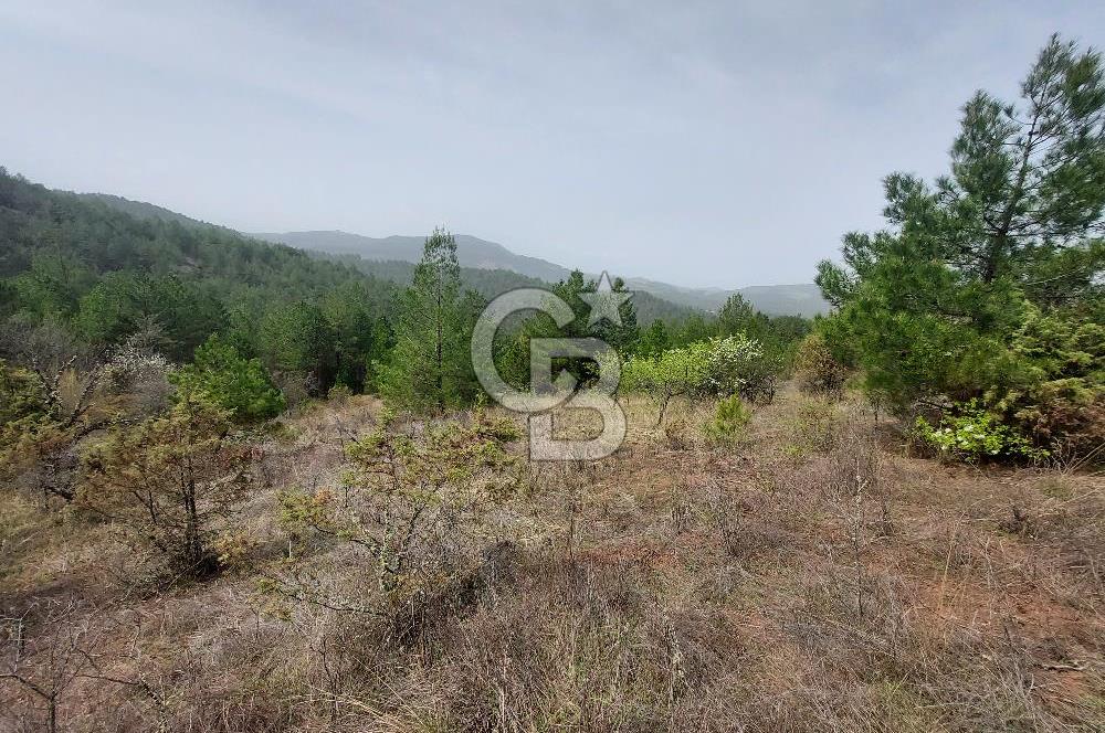 Taraklı Hacıaliler Köyünde Satılık 3346 M2 Tarla