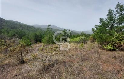 Taraklı Hacıaliler Köyünde Satılık 3346 M2 Tarla