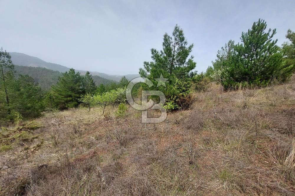 Taraklı Hacıaliler Köyünde Satılık 3346 M2 Tarla