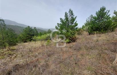 Taraklı Hacıaliler Köyünde Satılık 3346 M2 Tarla