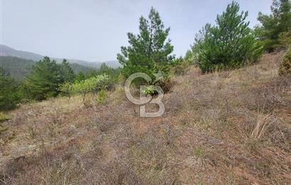Taraklı Hacıaliler Köyünde Satılık 3346 M2 Tarla