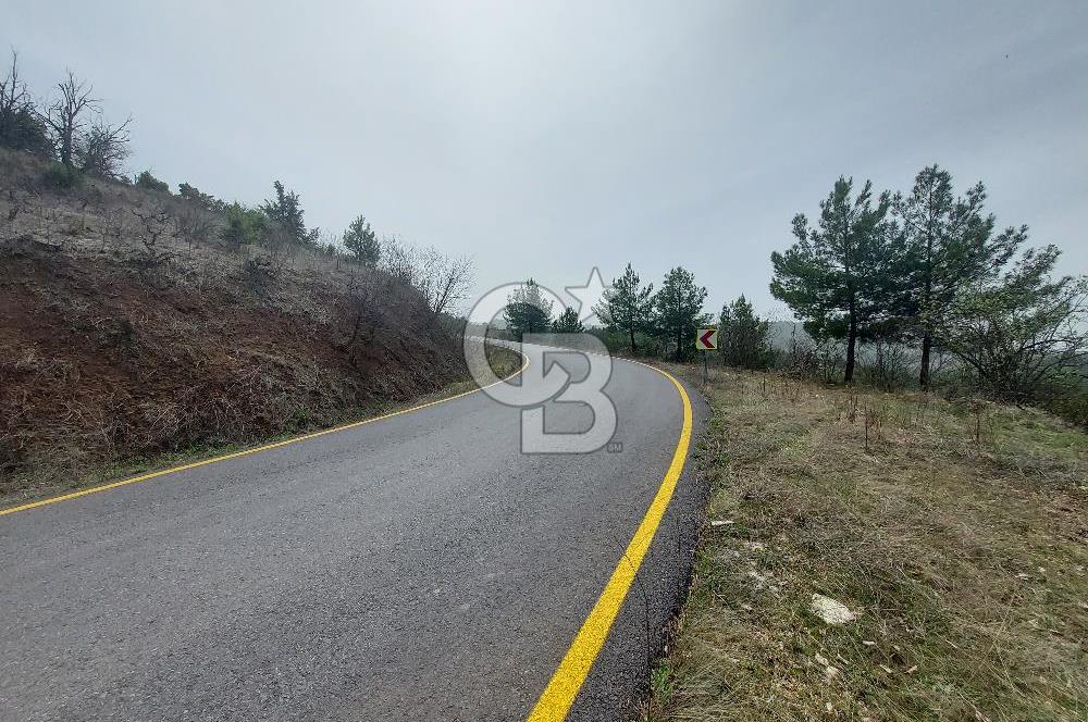 Taraklı Hacıaliler Köyünde Satılık 3346 M2 Tarla