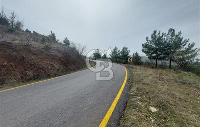 Taraklı Hacıaliler Köyünde Satılık 3346 M2 Tarla