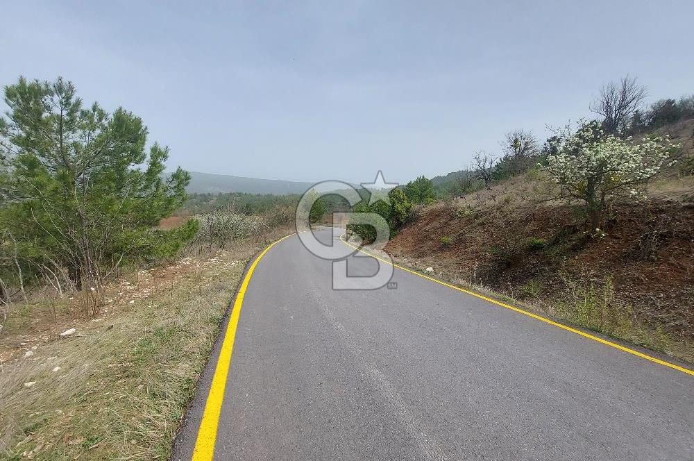 Taraklı Hacıaliler Köyünde Satılık 3346 M2 Tarla