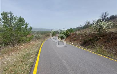 Taraklı Hacıaliler Köyünde Satılık 3346 M2 Tarla