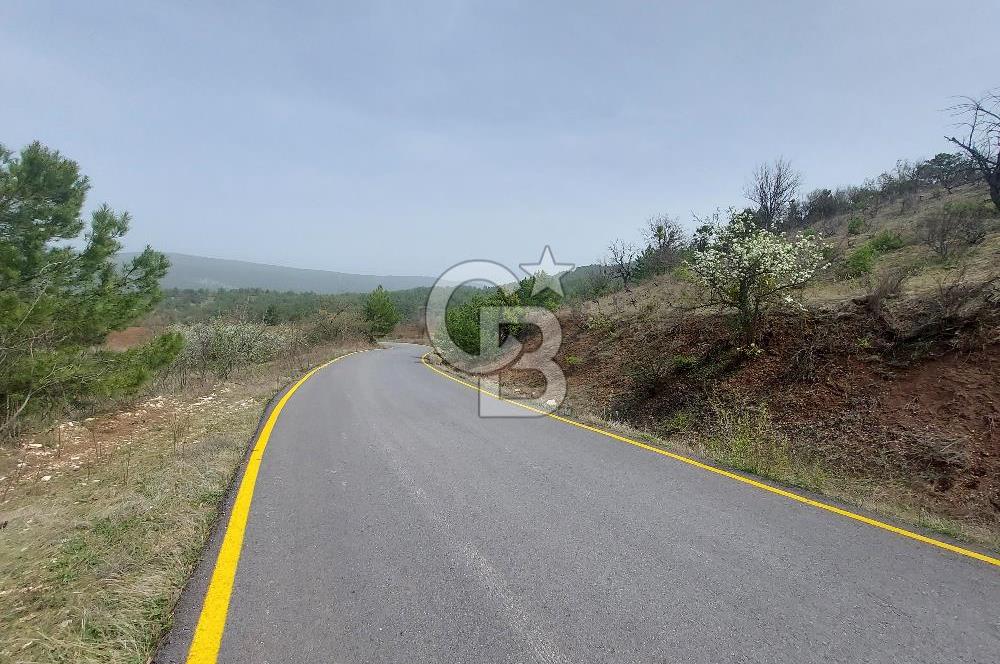 Taraklı Hacıaliler Köyünde Satılık 3346 M2 Tarla