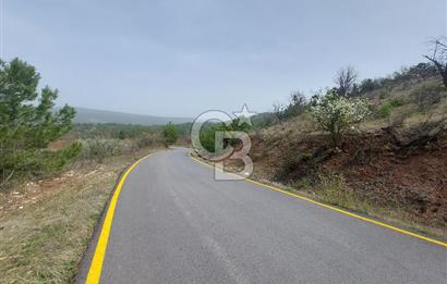Taraklı Hacıaliler Köyünde Satılık 3346 M2 Tarla