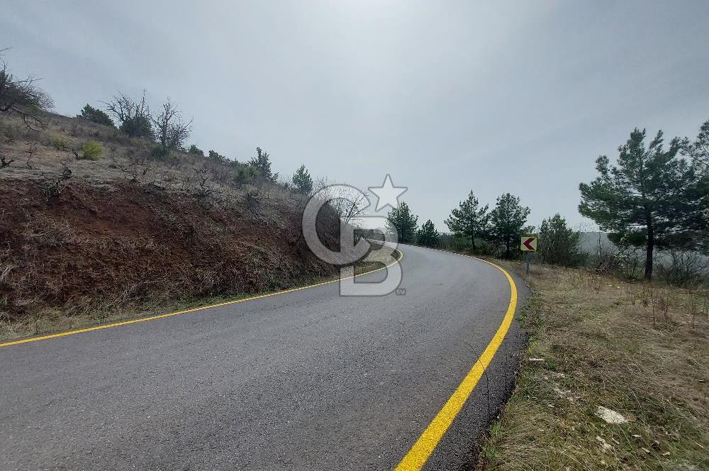 Taraklı Hacıaliler Köyünde Satılık 3346 M2 Tarla
