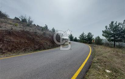 Taraklı Hacıaliler Köyünde Satılık 3346 M2 Tarla
