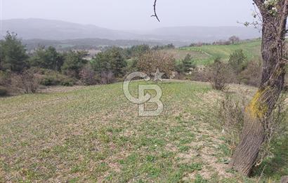 Bolu/Göynük/Ekincilerde Köy Girişinde Satılık 2593 M2 Tarla