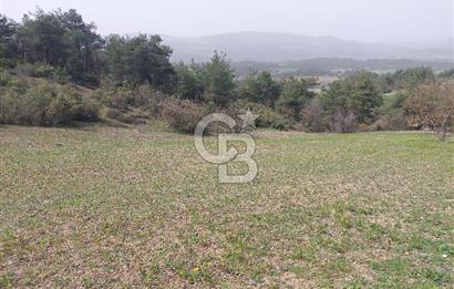 Bolu/Göynük/Ekincilerde Köy Girişinde Satılık 2593 M2 Tarla