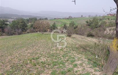 Bolu/Göynük/Ekincilerde Köy Girişinde Satılık 2593 M2 Tarla