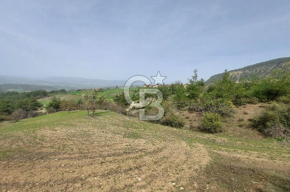 Bolu/Göynük/Ekincilerde Köy Girişinde Satılık 2593 M2 Tarla
