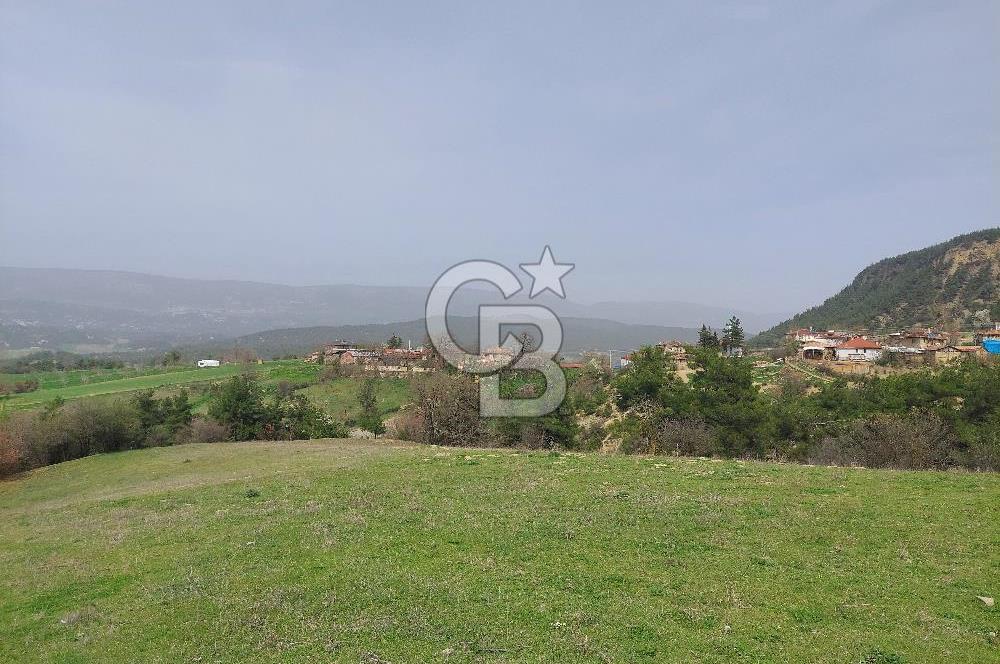 Bolu/Göynük/Ekincilerde Köy Girişinde Satılık 2593 M2 Tarla