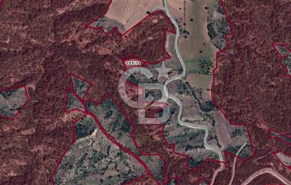 Taraklı Hacıaliler Köyünde Satılık 3346 M2 Tarla