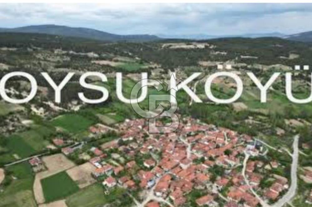 Kütahya/Altıntaş/Oysu Mahallesinde Ormana Sınır 2673 M2 Tarla