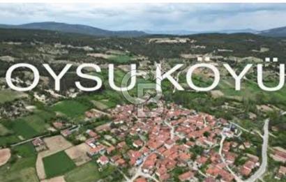 Kütahya/Altıntaş/Oysu Mahallesinde Ormana Sınır 2673 M2 Tarla