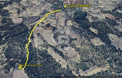 Kütahya/Altıntaş/Oysu Mahallesinde Ormana Sınır 2673 M2 Tarla