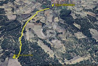Kütahya/Altıntaş/Oysu Mahallesinde Ormana Sınır 2673 M2 Tarla