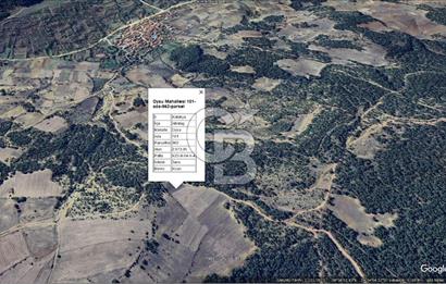 Kütahya/Altıntaş/Oysu Mahallesinde Ormana Sınır 2673 M2 Tarla