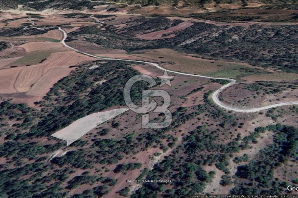 Taraklı Hacıaliler Köyünde Satılık 3346 M2 Tarla