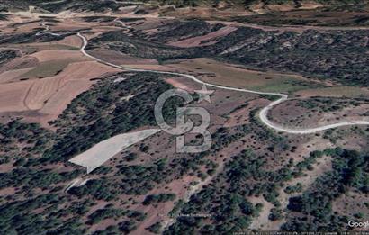 Taraklı Hacıaliler Köyünde Satılık 3346 M2 Tarla