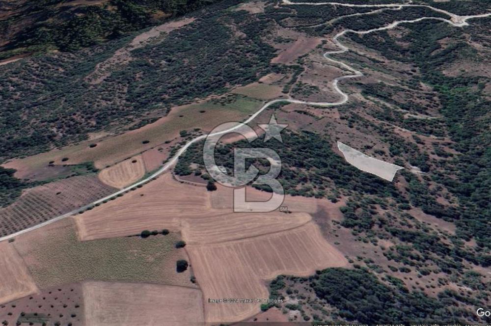Taraklı Hacıaliler Köyünde Satılık 3346 M2 Tarla